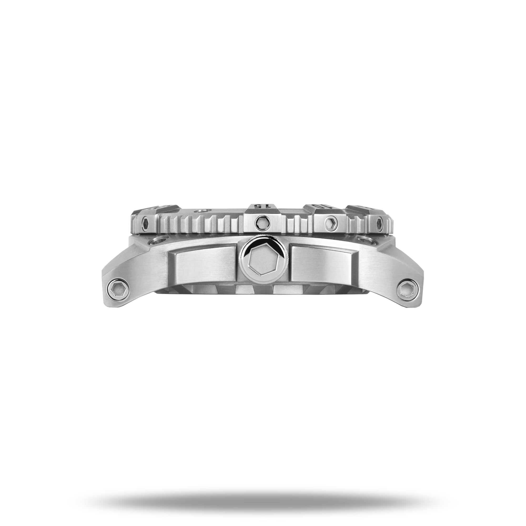 Silver Warrior