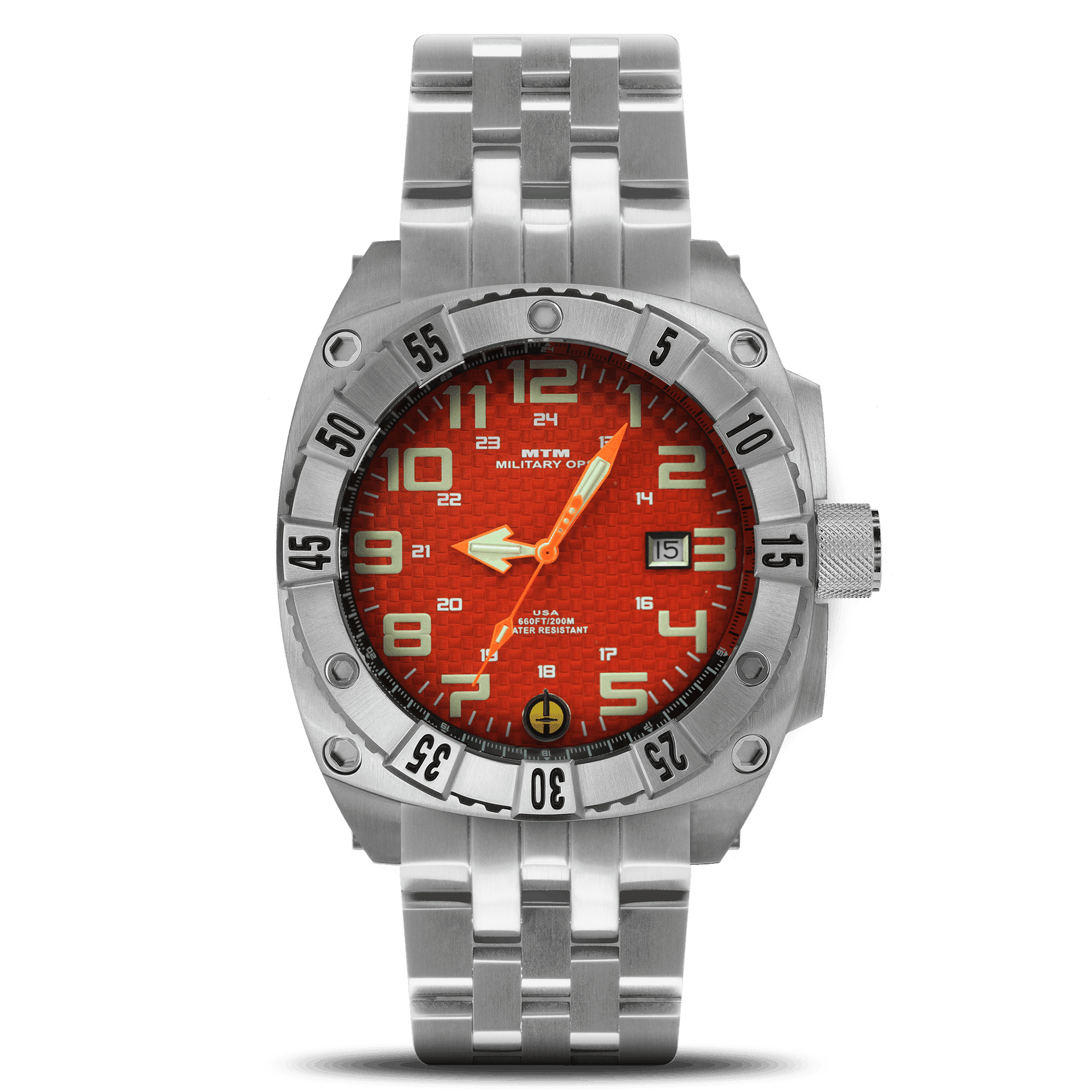 Silver Warrior