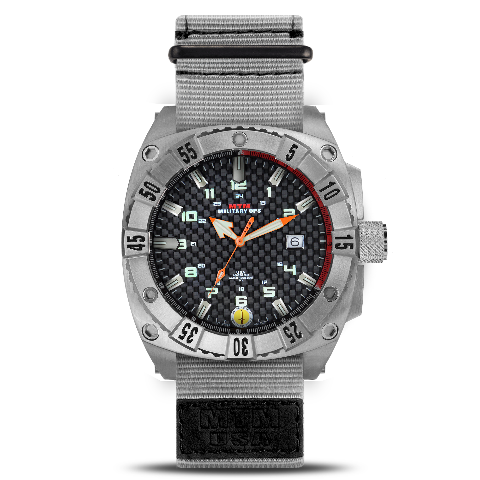 Silver Warrior